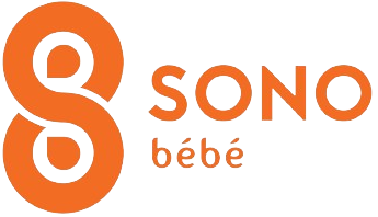 Logo PT. Pintarnya Solusi Teknologi