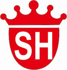 Logo PT. Pintarnya Solusi Teknologi